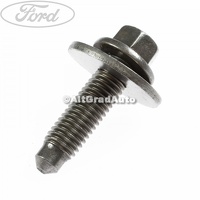 Surub 25 mm prindere balama usa spate inferioara Ford Tourneo Custom 2014 2.0 EcoBlue