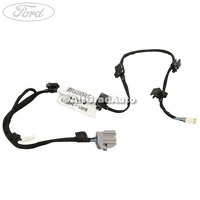 Instalatie electrica lumini ambientale usa fata stanga Ford Focus MK3 1.0 EcoBoost
