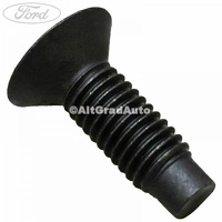 Surub 20 mm prindere platnic usa culisanta Ford Tourneo Connect 2014 1.0 EcoBoost