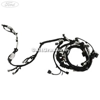 Instalatie electrica motor an 11/2008-10/2009 cu filtru particule Ford Transit MK7 2.2 TDCi