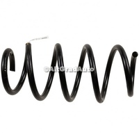 Arc elicoidal punte fata Ford Mach-E MACH-E (CGW) EV