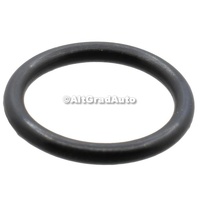 Oring pompa motor tractiune spate unitate primara Ford Mach-E MACH-E (CGW) EV