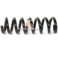 Arc elicoidal punte spate Raptor Ford Ranger 2023-2026 2.0 Raptor Bi-TDCi 4x4