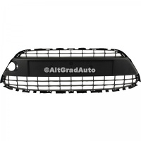 Grila bara fata mijloc cu locas crom Ford Fiesta Mk 7 1.25