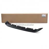 Deflector aer bara fata Ford Fiesta Mk 7 1.25