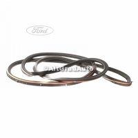 Cheder usa spate stanga Ford Galaxy MK3 2.0