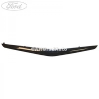 Ornament maner usa fata stanga interior Ford EcoSport 1.5 TDCi