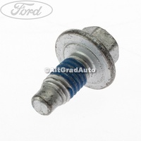 Surub inferior prindere balama usa fata Ford C-Max MK1 facelift 1.8