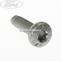 Surub prindere balama usa spate 20 mm Ford Tourneo Connect 2002 1.8 Di