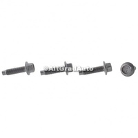 Surub 20 mm lateral lonjeron fata Ford Mach-E MACH-E (CGW) EV