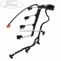 Instalatie electrica alimentare injectoare Ford Fiesta 5  1.4 TDCi
