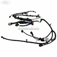 Instalatie electrica motor Ford Ranger 3 2.2 TDCi