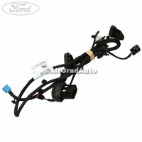 Instalatie electrica usa fata stanga Ford Tourneo Custom 2014 2.0 EcoBlue
