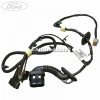 Instalatie electrica usa fata stanga Ford Tourneo Connect 2014 1.0 EcoBoost