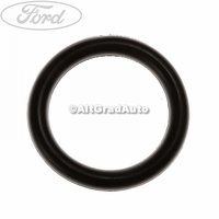 Garnitura galerie admisie 30 mm Ford Focus 2 1.6 TDCi
