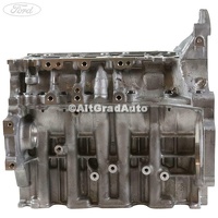 Bloc motor Ford Fiesta 5  1.6 TDCi