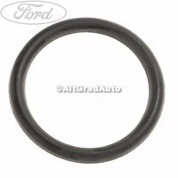 O-ring buson vas expansiune Ford Galaxy 1 1.9 TDI