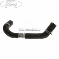 Furtun radiator apa inferior, dreapta Ford Fiesta MK4 1.25 i 16V