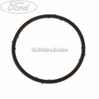 Oring adaptor apa bloc motor Ford Galaxy MK1 1.9 TDI