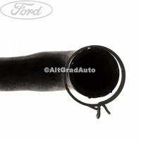 Furtun inferior radiator apa stanga Ford Focus 1 1.8 DI/TDDi