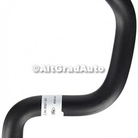 Furtun vas lichid servodirectie la pompa Ford Focus Mk1 ST170